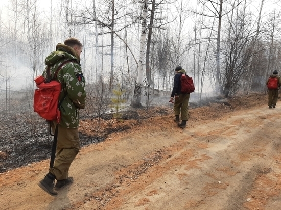 Больше 40 млн рублей взыскали с поджигателей лесов в Забайкалье