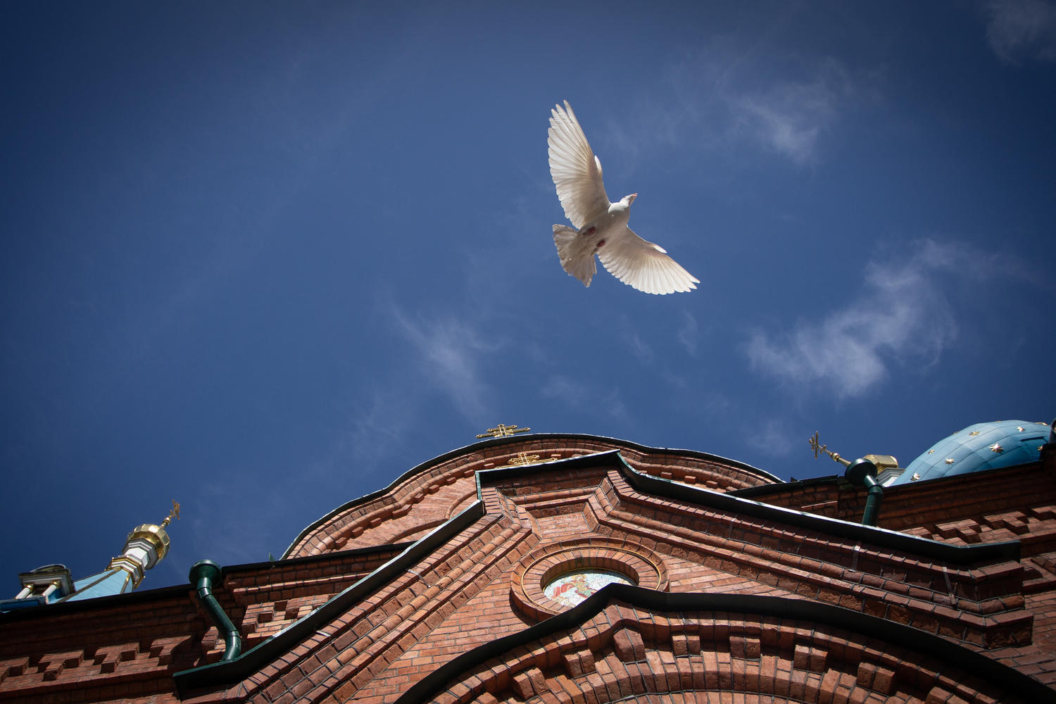 Благовещение в 2023 году. Псков - голубь церкви Успения. Церковь и голуби. Голубь в храме. Благовещение выпускают птиц.