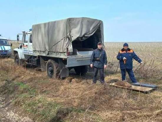 В Курском районе обезвредили 100-килограммовую авиационную бомбу