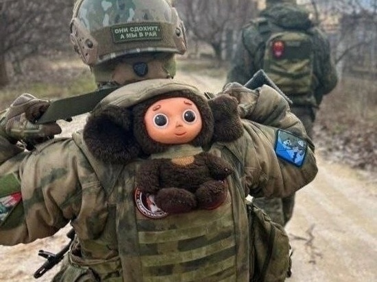 Ярославские солдаты попросили на войну Чебурашек