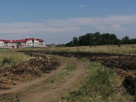 В Омске на 26 участках создадут минерализованные полосы от пожара