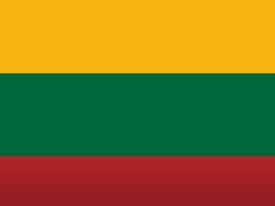 МИД Литвы рассказал о ранении под Артемовском воевавших в составе ВСУ литовских наемников