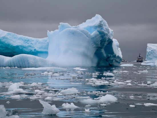 В Антарктиде рекордно сократилась площадь льда