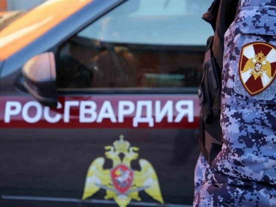 В Мурманске Росгвардией задержан находящийся в розыске мужчина