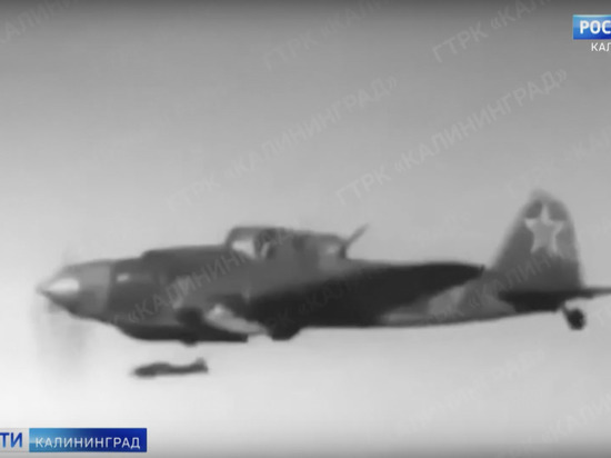 Калининградская общественная организация нашла обломки военного самолета Ил-2