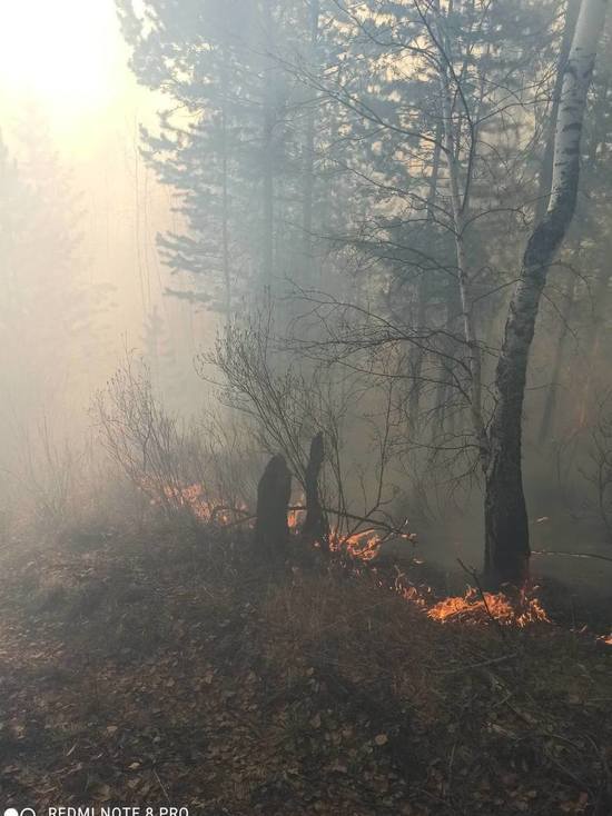 В Бурятии почти 400 человек сражаются с лесными пожарами