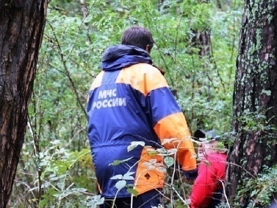 12-летнего ребенка, пропавшего в Барнауле, нашли живым