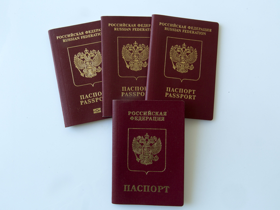 Политолог Михеев: необходимо упростить получение гражданства этническими русскими