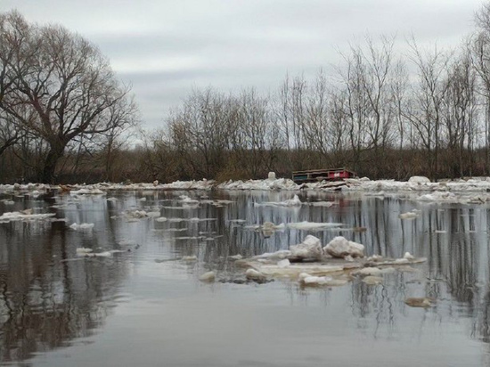 Вода в реке Ловать доберется до критической отметки до 11 апреля