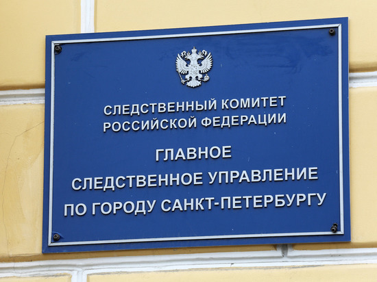 В Петербурге предъявили обвинение женщине, два года истязавшей свою дочь