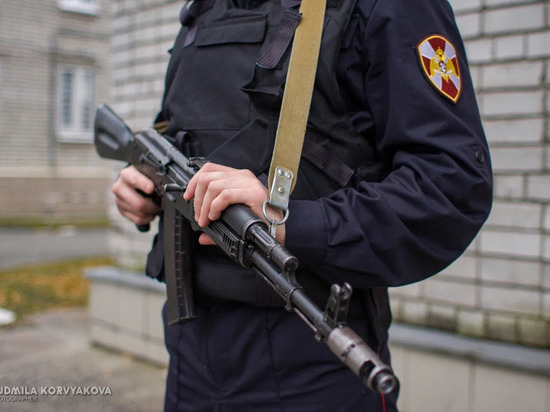 Росгвардия Карелии провела ряд проверок сохранности огнестрельного оружия