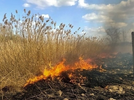 В Липецкой области за сутки произошло 50 возгораний сухой травы