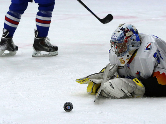 Юные хоккеисты из Новгородской области стали лучшими бомбардирами