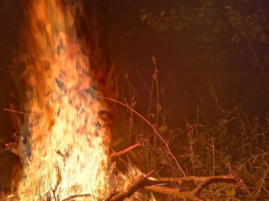 Из-за пала сухой травы в Щекинском районе загорелся дом