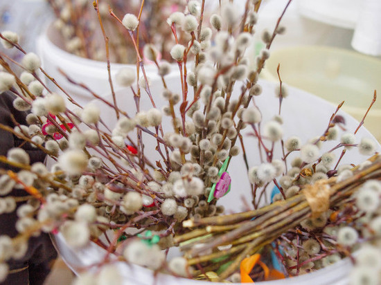 Сотни хабаровчан устремились с утра в храмы на Вербное воскресенье