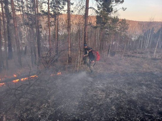 Один лесной пожар ликвидировали в Приангарье за сутки