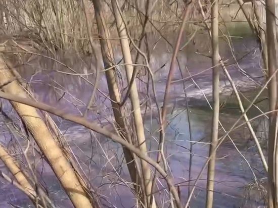 Розовый пруд удивил балашихинцев