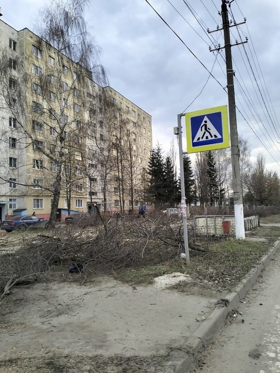 В Ливнах улицу завалили спиленными деревьями