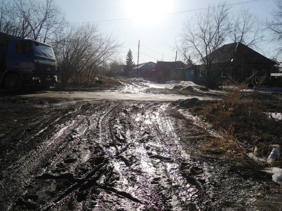 «Эту толпу, умеющую только пилить и белить, нужно давно разогнать»: омичи возмутились из-за незаконной побелки деревьев на Красном Пути