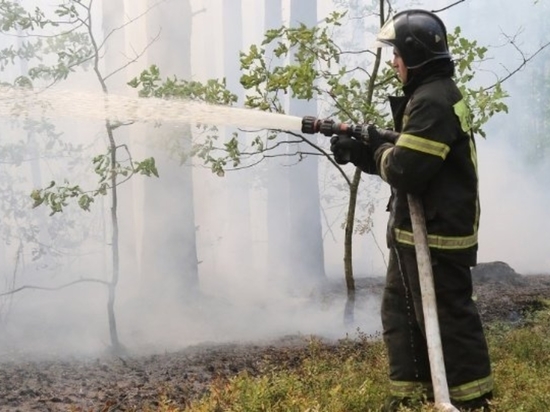 В Удмуртии с 10 апреля вводят особый противопожарный режим