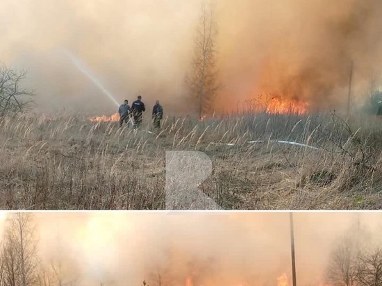 В Путятинском районе Рязанской области сгорела трава на площади 10 га