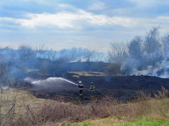 За сутки в Липецкой области произошло более 70 пожаров