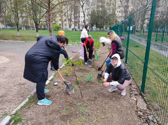 В Симферополе прошла акция "Посади свое дерево жизни"