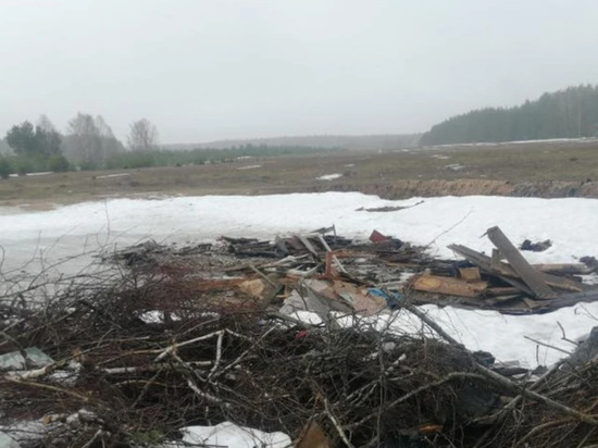 В Селивановском районе прокуроры нашли нелегальные свалки