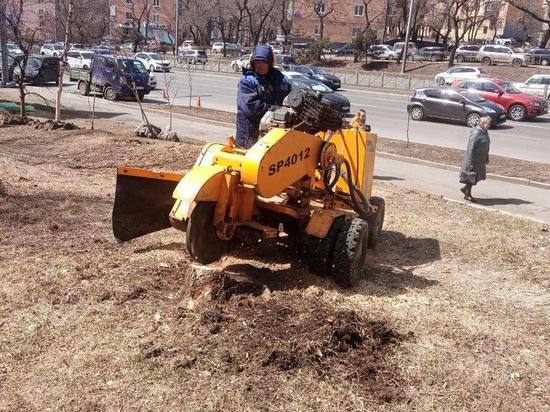 Панорама: Розовый Кролик, секс-шоп, просп. Ветеранов, 36, корп. 2, Санкт-Петербург — Яндекс Карты