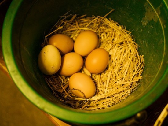 Диетолог из Забайкалья рассказала, сколько яиц можно съесть на Пасху