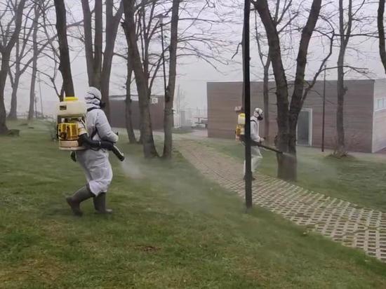 В Ставрополе от клещей обработали территорию Комсомольского озера