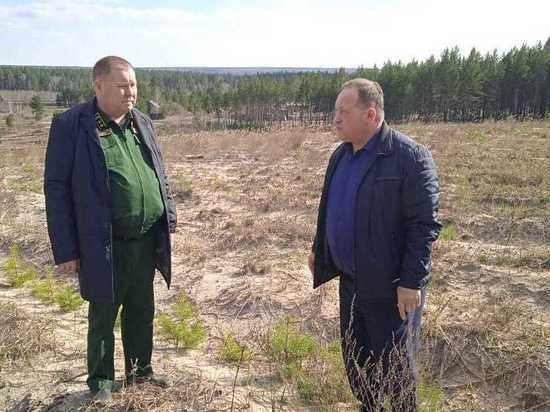 Глава пензенского минлесхоза посетил Чаадаевское лесничество