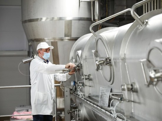 Исследование определило текущую ситуацию и выявило точки роста, которые требуют соответствующих мер поддержки