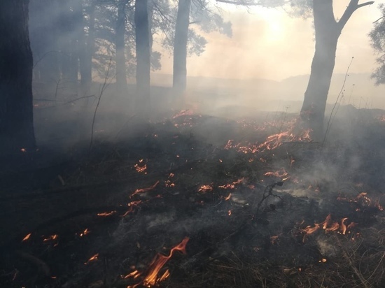 Два лесных пожара потушили за выходные в Московской области