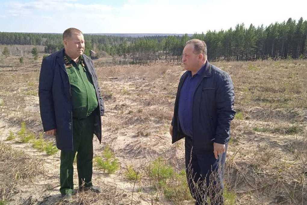 Сайт министерства лесного хозяйства пензенской области