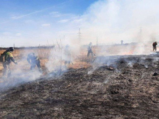 На улице Союзная 10 апреля выгорело поле травы между ТЦ "МЕТРО" и автосалонами