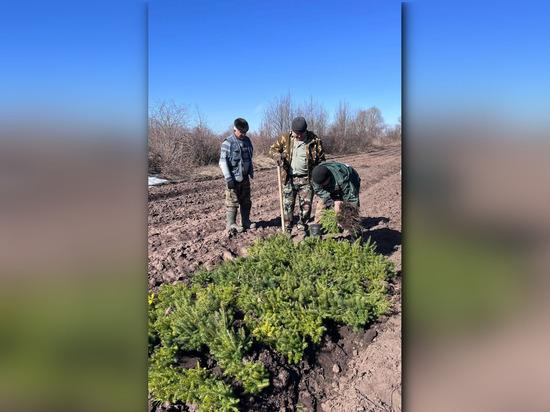Радий Хабиров рассказал о предстоящей акции «Сад памяти»