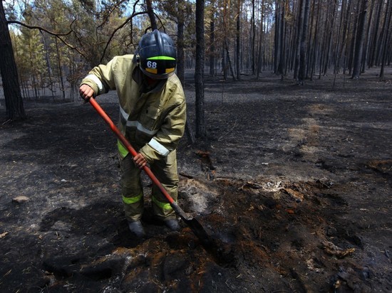 Владимир Якушев требует особого внимания к лесным пожарам на Южном Урале