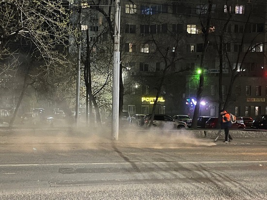 Саратовцы не оценили новый способ уборки городских улиц