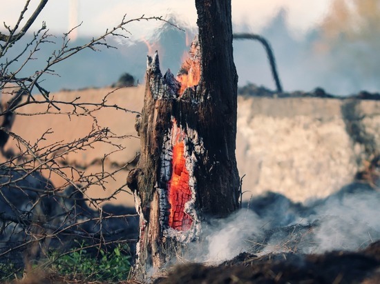 В Абзелиловском районе Башкирии случился природный пожар