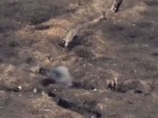 "РВ" показала трагические кадры атаки двумя российскими бойцами окопов ВСУ