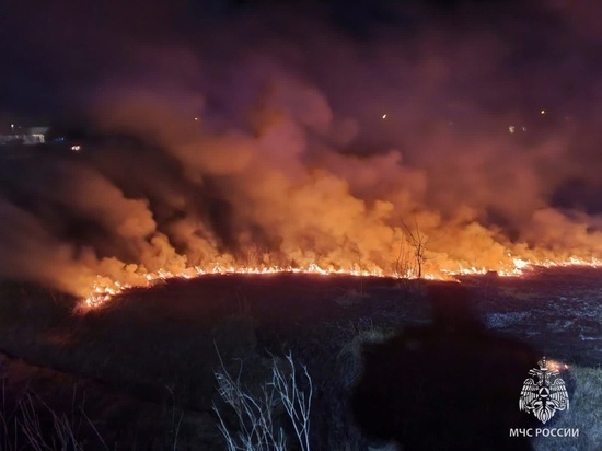 В Липецкой области за сутки зарегистрировали свыше 50 пожаров