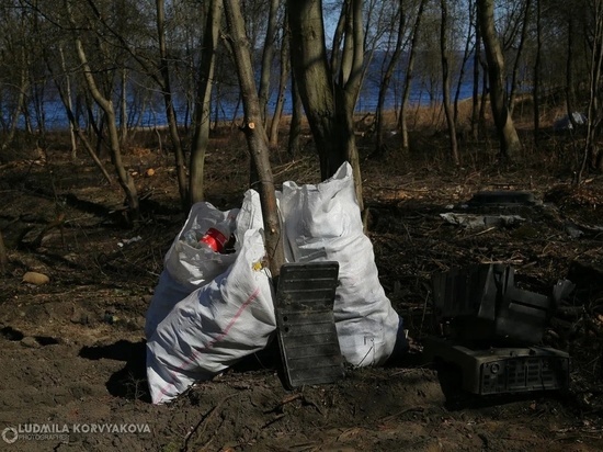 Стало известно, где пройдет первый субботник в Петрозаводске