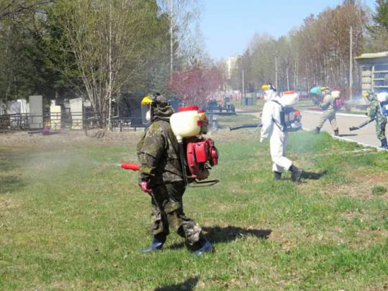 В Хабаровске пройдет акарицидная обработка городских территорий