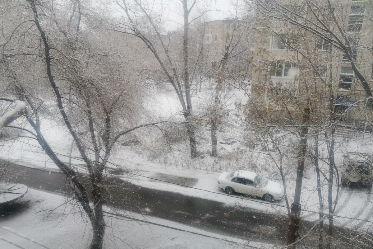 Хабаровске выпал снег. Снегопад в Хабаровске. Снег. Снегопад фото. Снежный Покров.