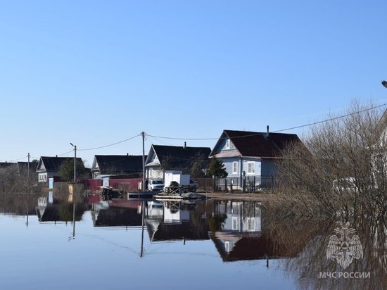 В Новгородской области в зоне затопления находятся почти 400 участков