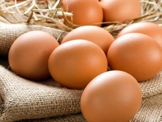 Interia: ученые развеяли мифы о вреде куриных яиц