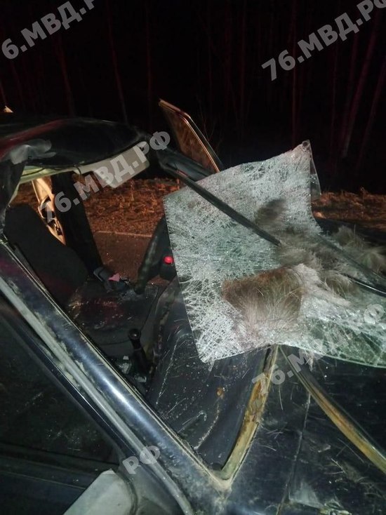 В Ярославской области лось стал причиной крупного ДТП