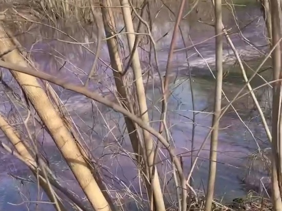 Причину окрашивания водоема в розовый цвет устанавливают экологи в Балашихе