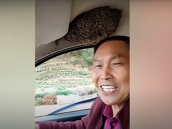 Мужчина из Китая, ездящий с роем пчел в автомобиле, собирается сказочно разбогатеть